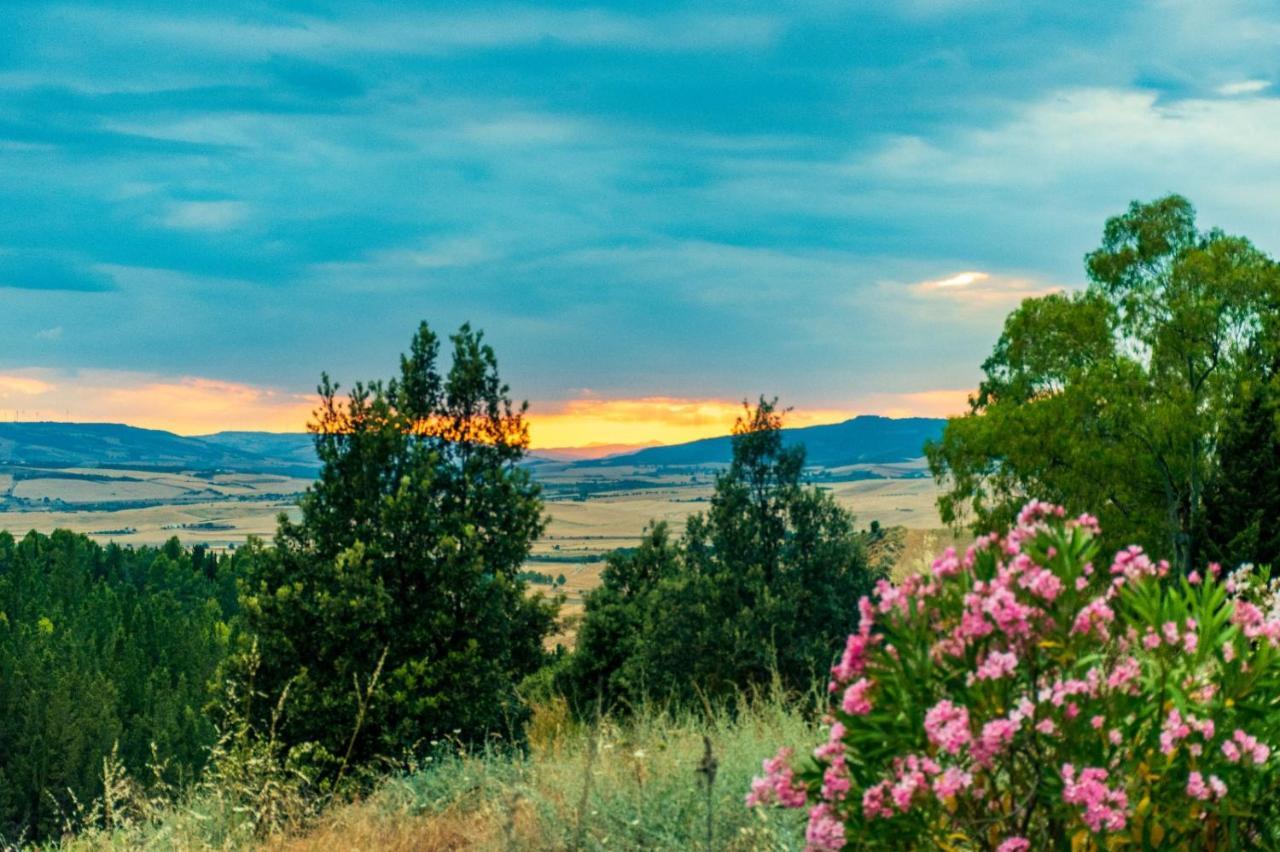 Palmadom - B&B And Original Experiences Монтескальозо Экстерьер фото